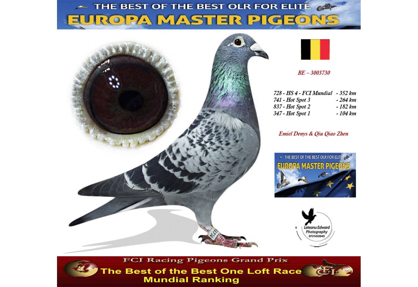 Auction Belg 20 - 3003730 - Emiel Denys & Qiu Qiao Zhen