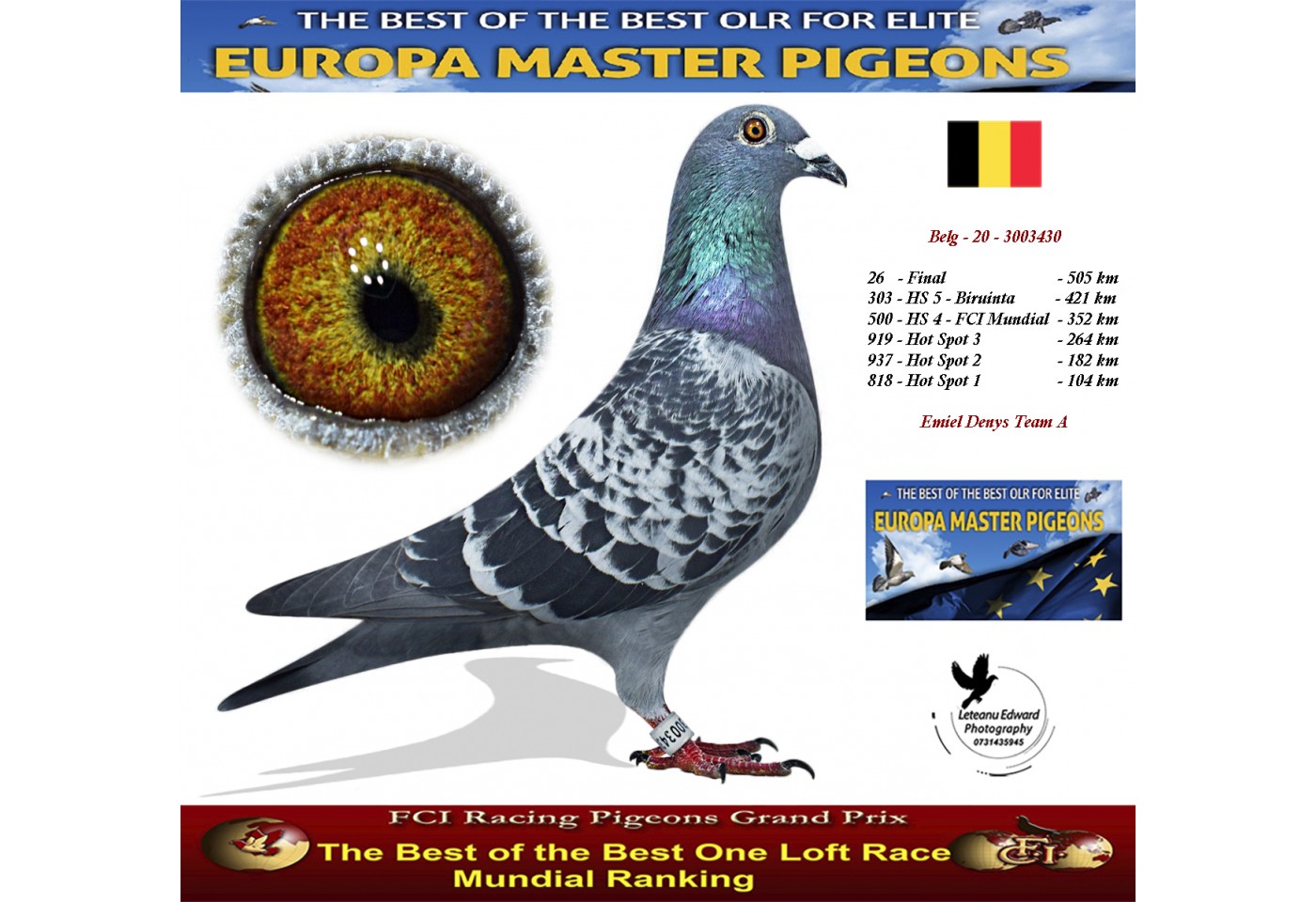 (♂️) Auction Belg-20-3003430 - Emiel Denys Team A