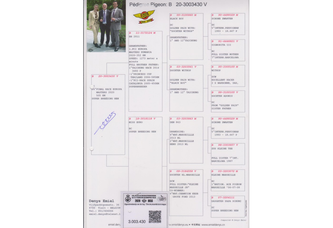 (♂️) Auction Belg-20-3003430 - Emiel Denys Team A