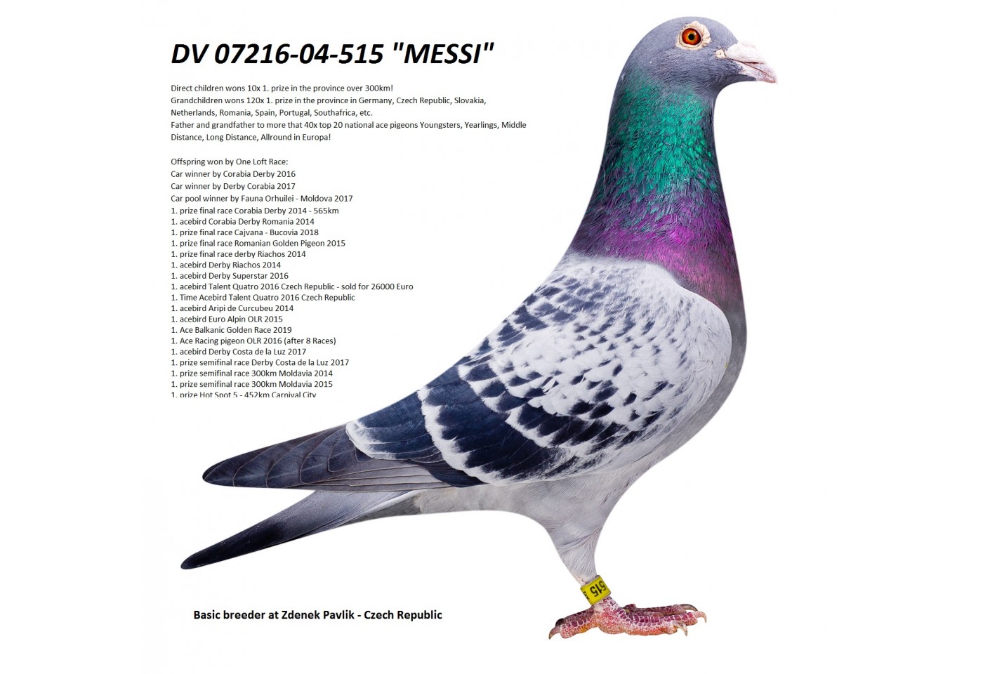 (♀️) DV-05927-541 - Zdenek Pavlik Team 4
