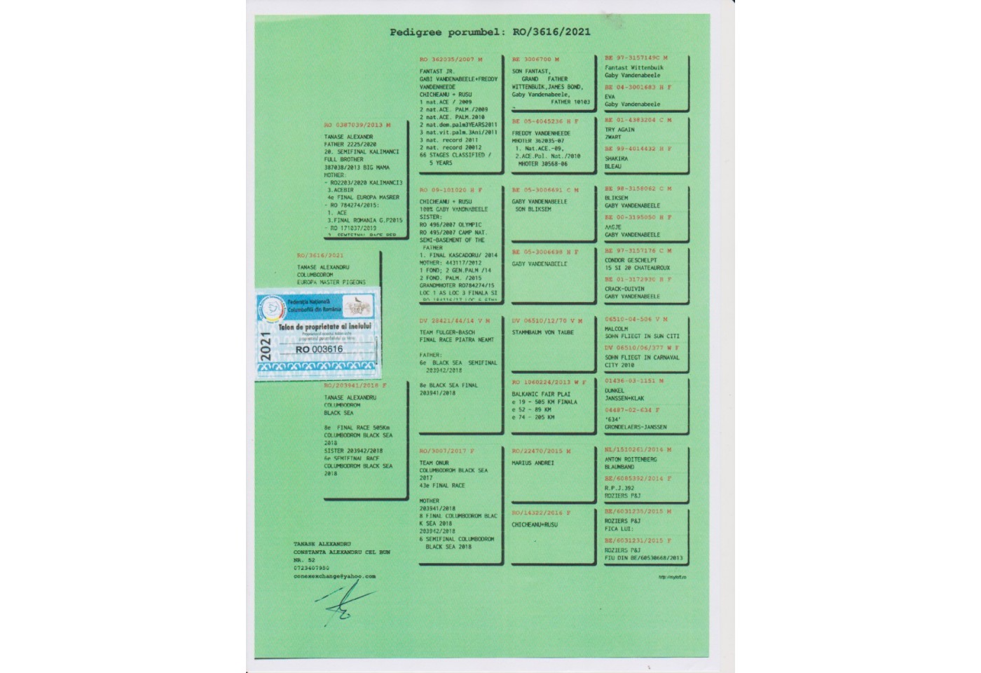 42th place - 003616-RO-21 - Tanase Alexandru