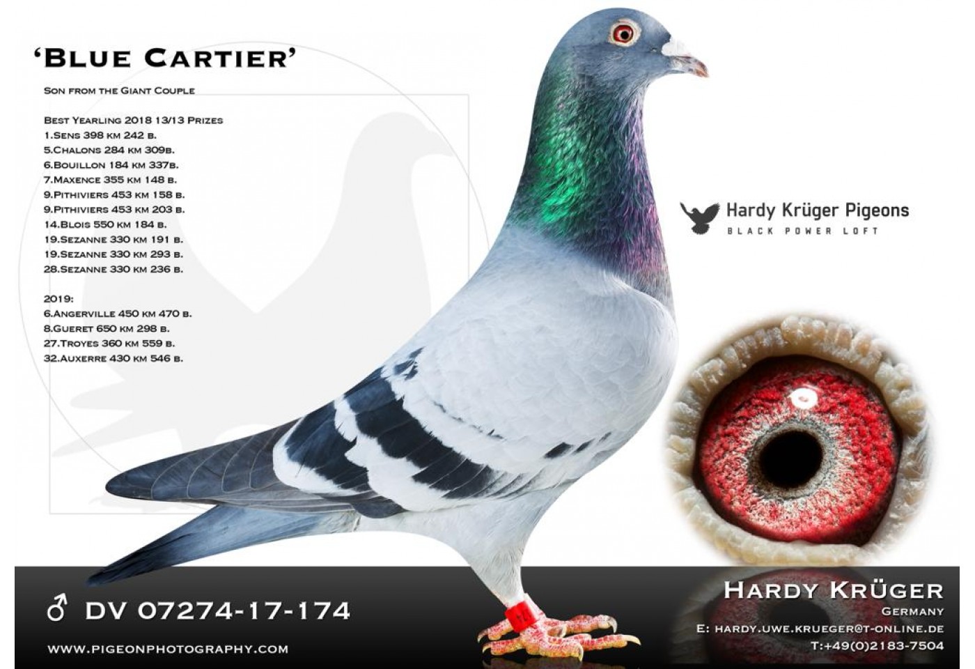 50th place - DV-07274-21-896 - Hardy Kruger