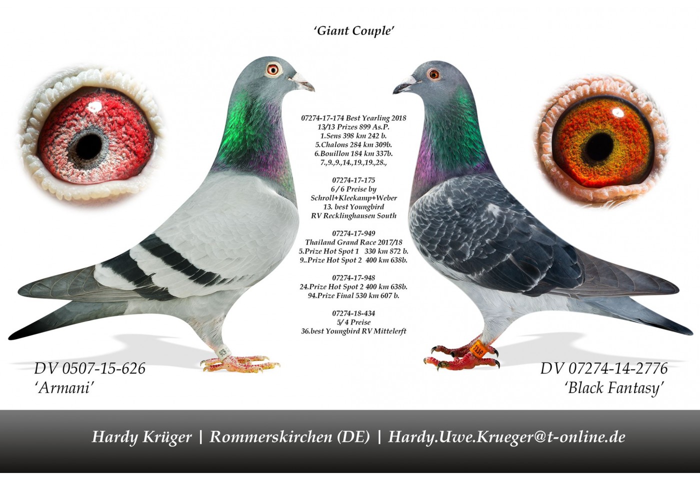 50th place - DV-07274-21-896 - Hardy Kruger