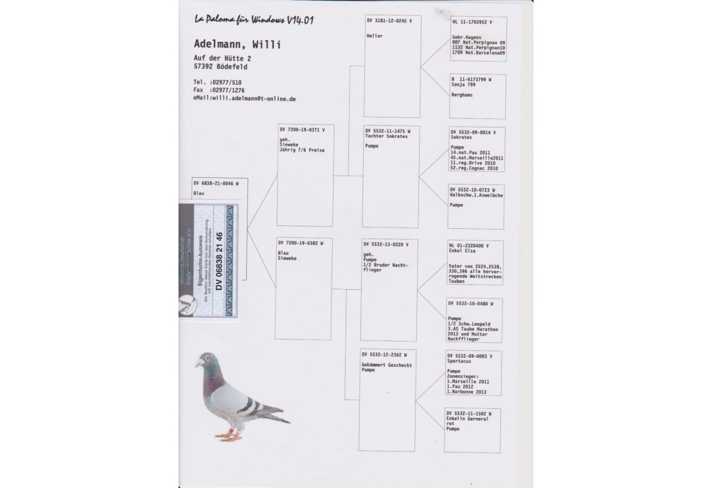 64th place - DV-06838-21-46 - Hotel Adelmann