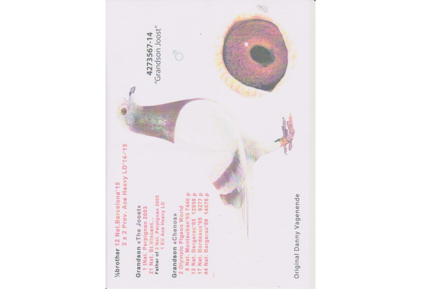 83th place - 006958-RO-21 - Hladiuc + Ozarchievici