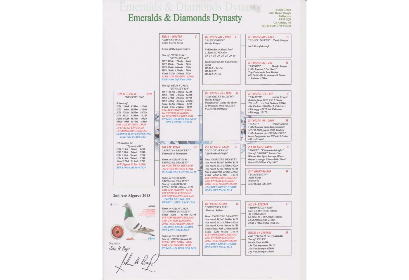 95th place - GB-21-V-29156 - Emeralds & Diamonds Dynasty Team D