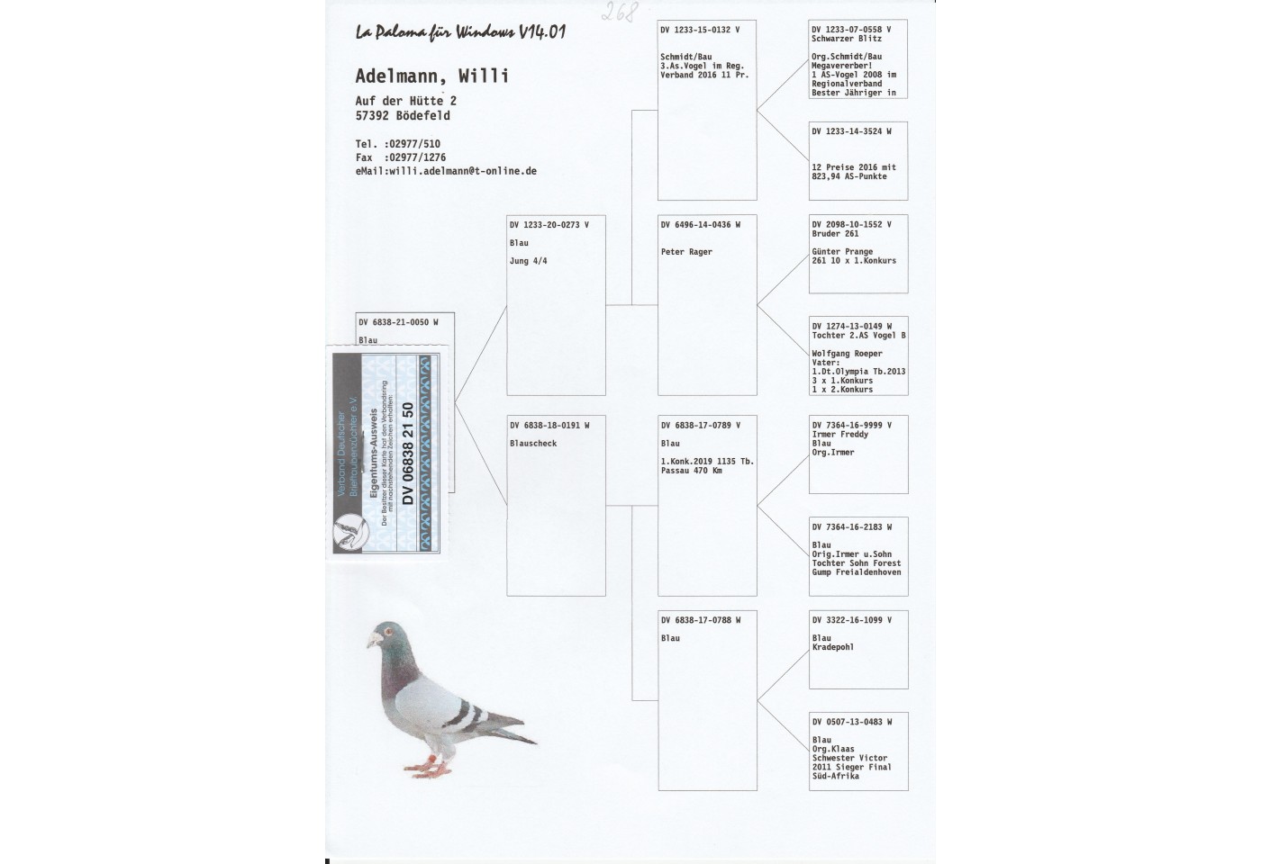 268th place - DV-06838-21-50 - Hotel Adelmann