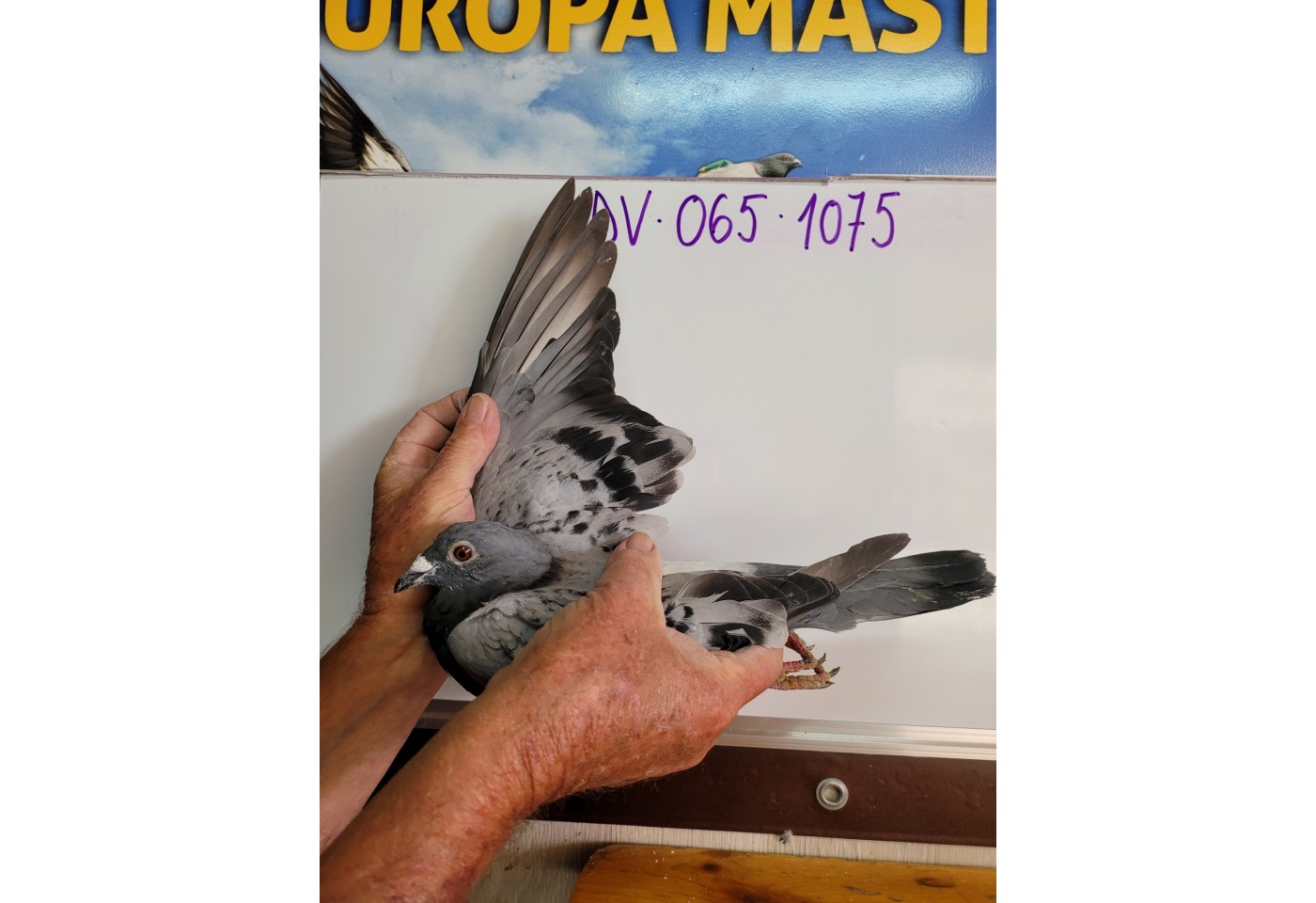 401th place - DV-065-21-1075 - Dr Weigl