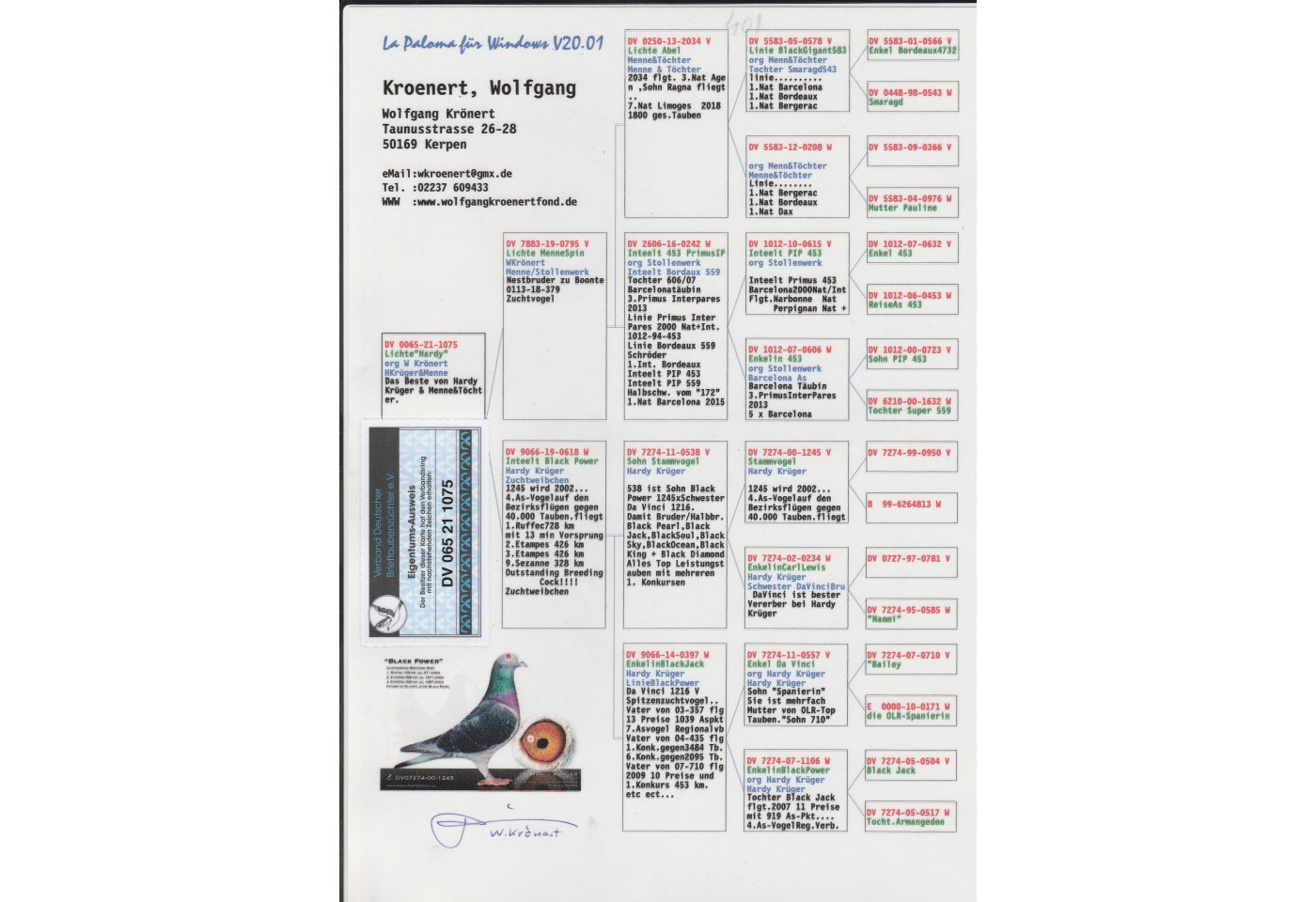 401th place - DV-065-21-1075 - Dr Weigl