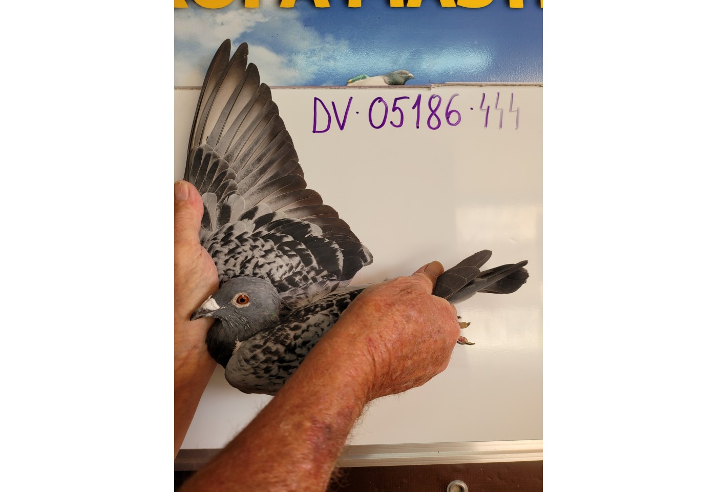 406th place - DV-05186-21-444 - Familie Gebhart