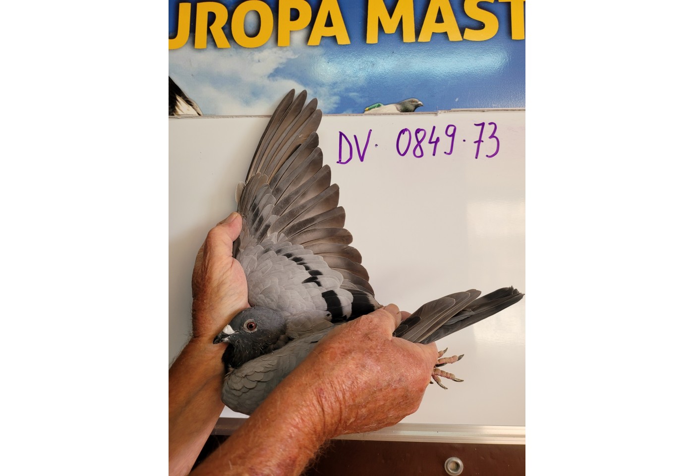 (♂️) 418th place - DV-0849-21-73 - Karl Heinz Koch