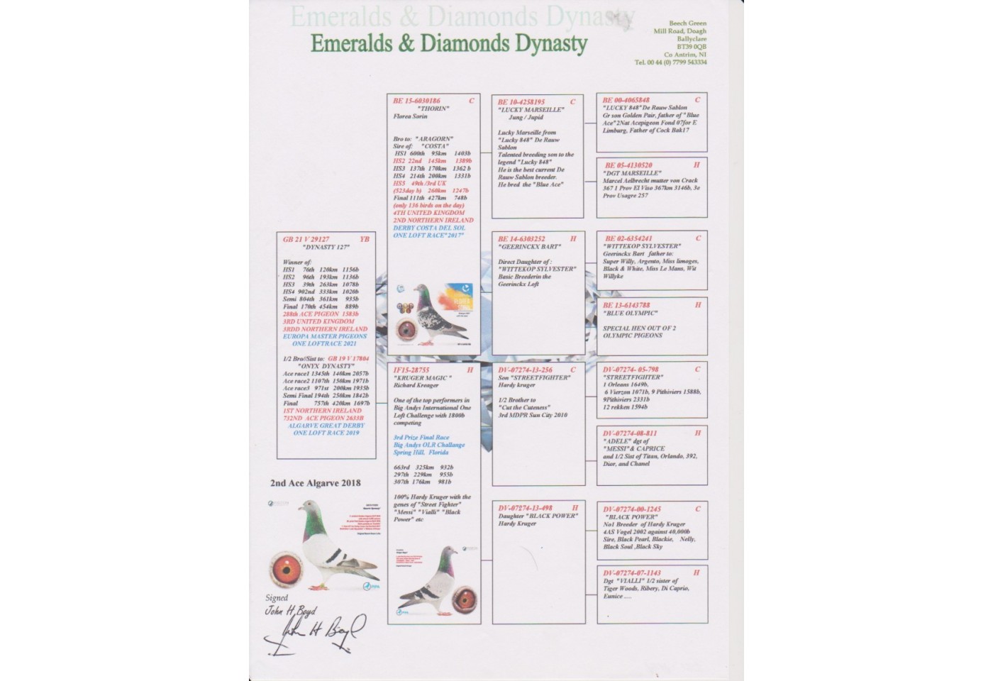 170th place - GB-21-V-29127 - Emeralds & Diamonds Dynasty