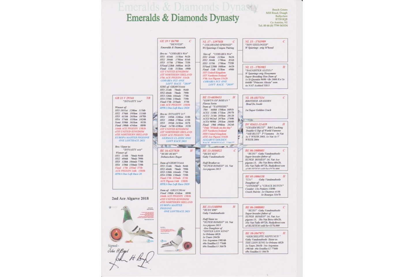 198th place - GB-21-V-29144 - Emeralds & Diamonds Dynasty