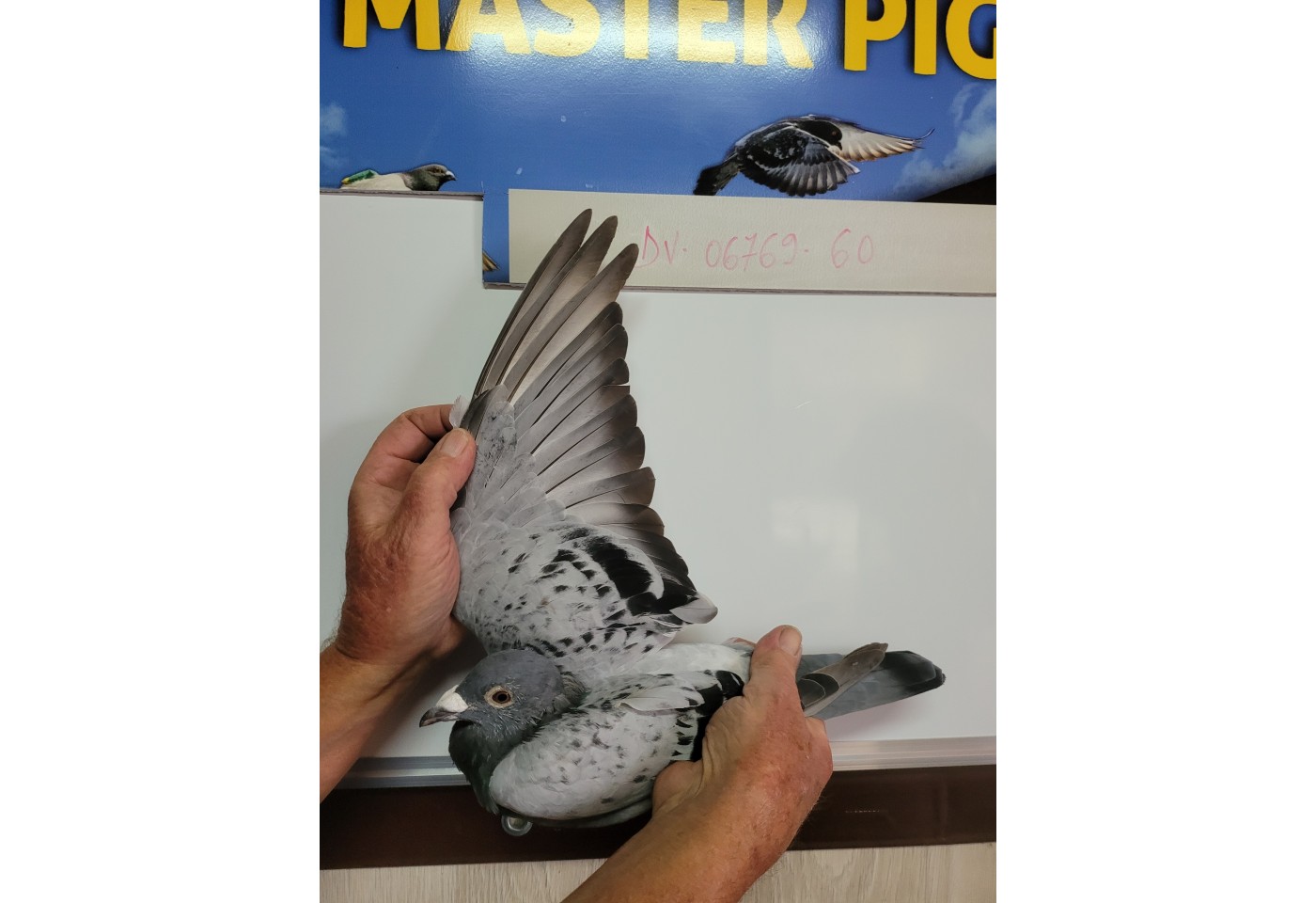 306th place - DV-06769-21-60 - Kuffer Ferdinand