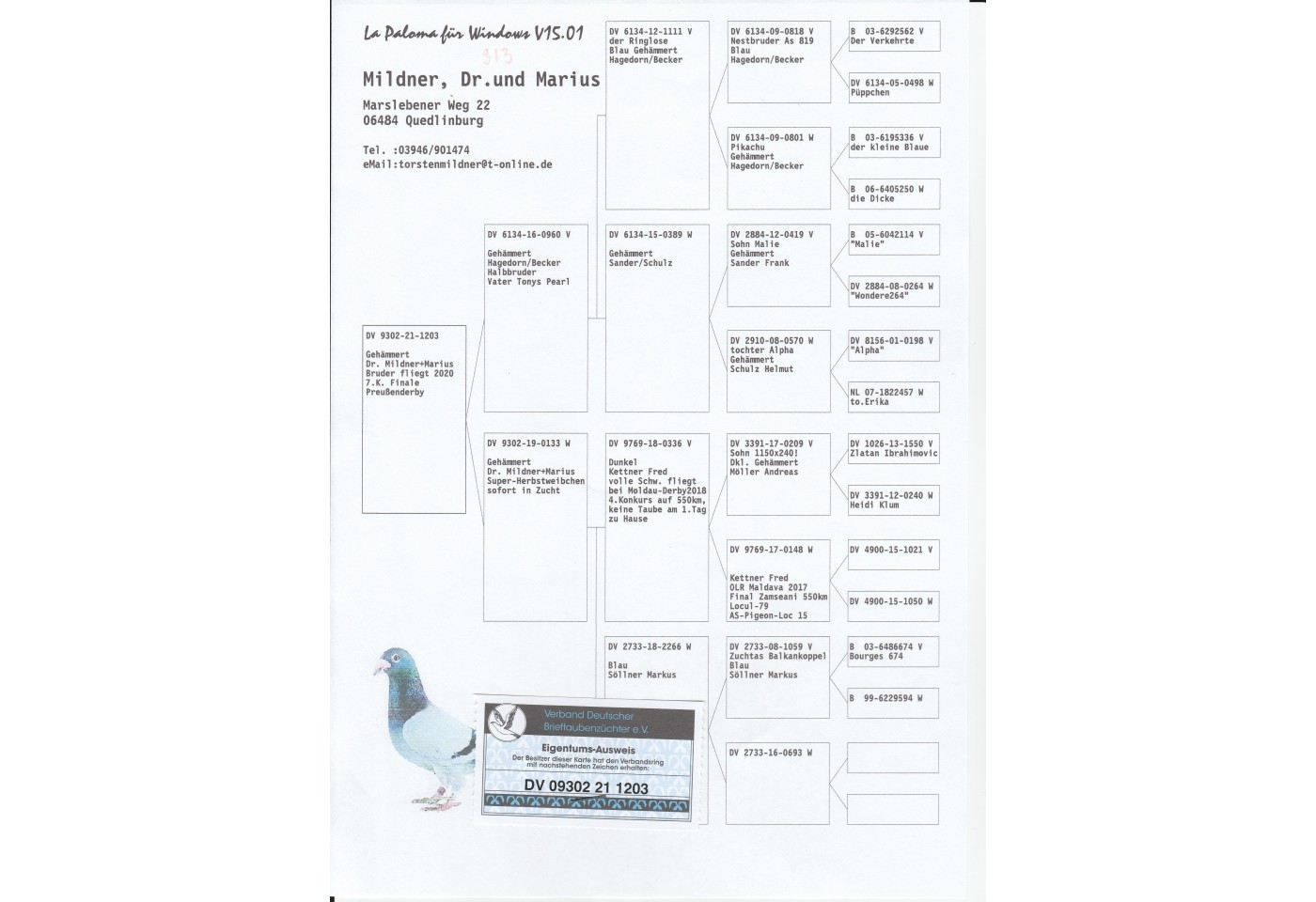 313th place - DV-09302-21-1203 - Dr Mildner & Marius