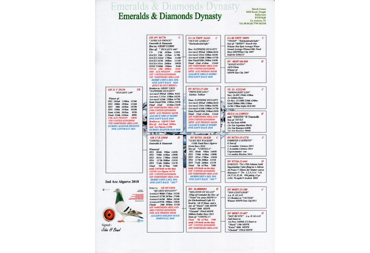 316th place - GB-21-V-29139 - Emeralds & Diamonds Dynasty
