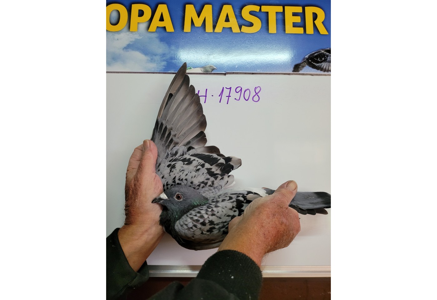 365th place - 17908-CH-21 - Roman Jud