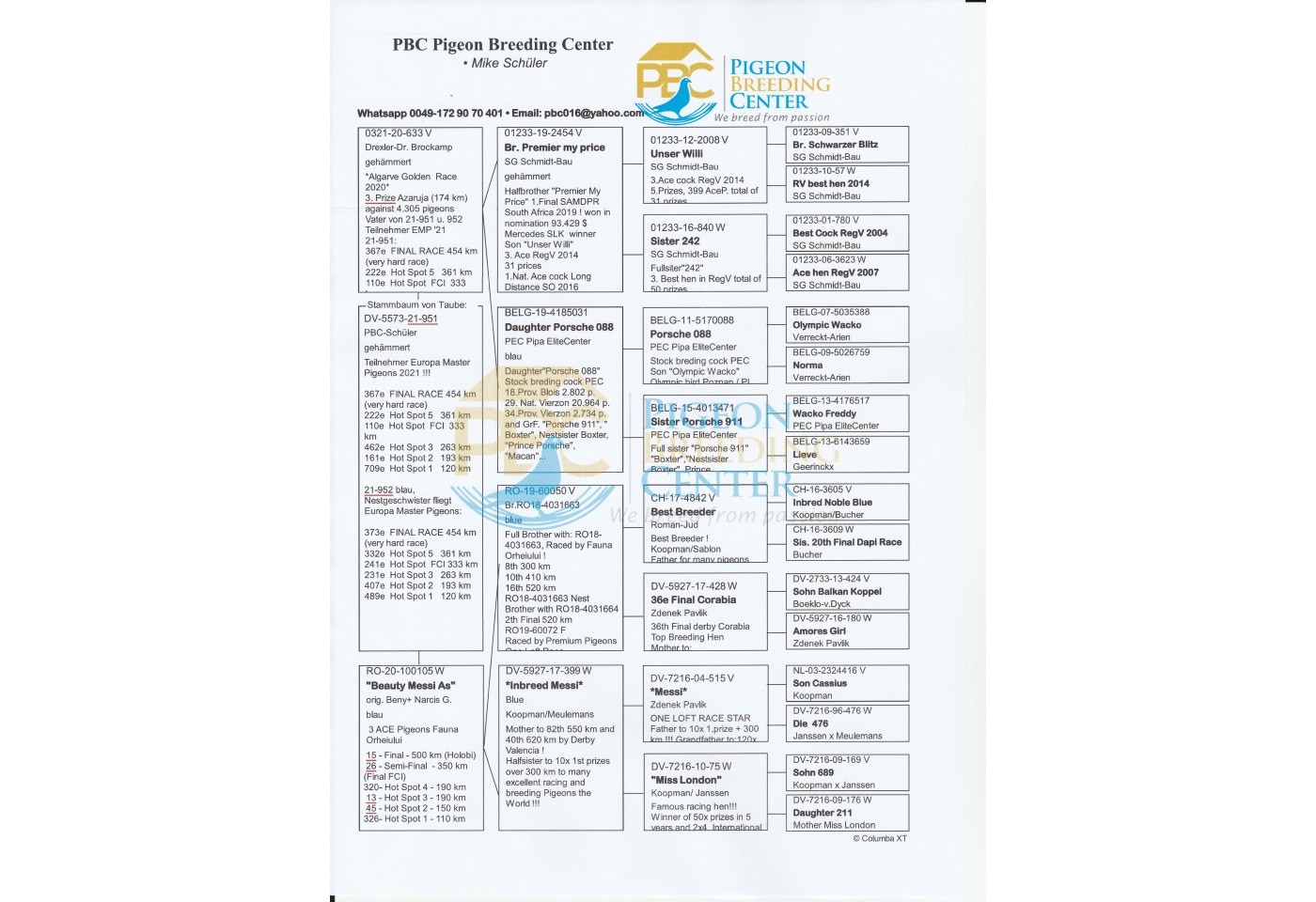 367th place - DV-05573-21-951 - PBC Pigeons