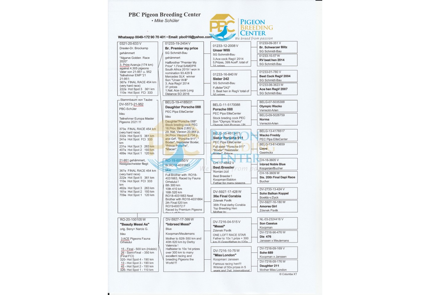 373th place - DV-05573-21-952 - PBC Pigeons