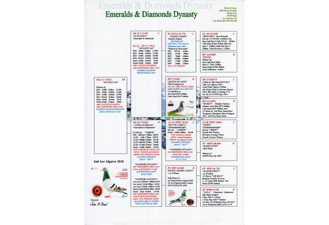 434th place - DV-GB-21-V-29162 - Emeralds & Diamonds Dynasty