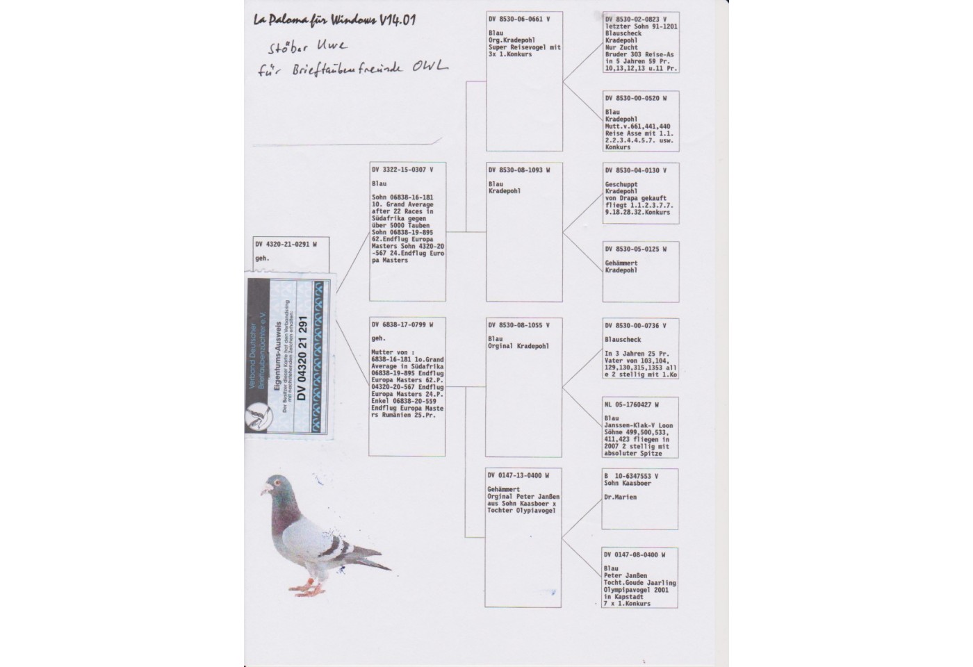 141th place - DV-04320-21-291 - Brieftaubenfreunde OWL