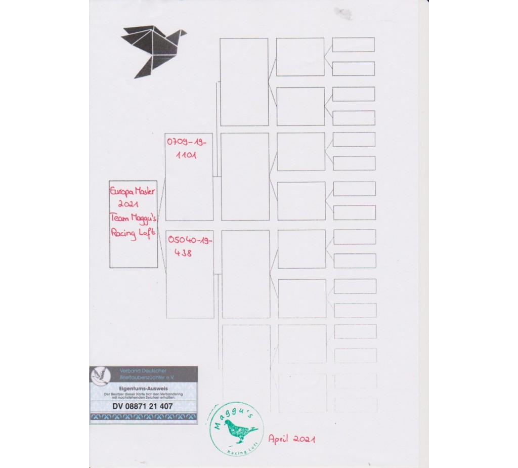 158th place - DV-08871-21-407 - Markus Winter