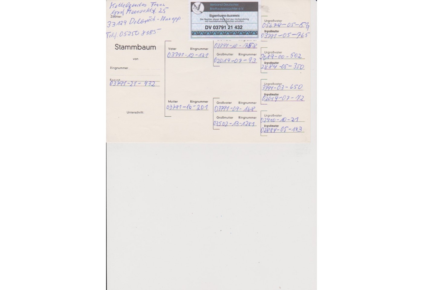 196th place - DV-03791-21-432 - Frans Kettelgerdes