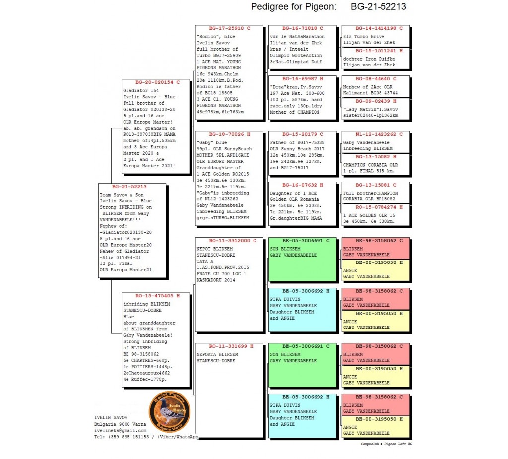274th place - 52213-BG-21 - Team Savov & Son