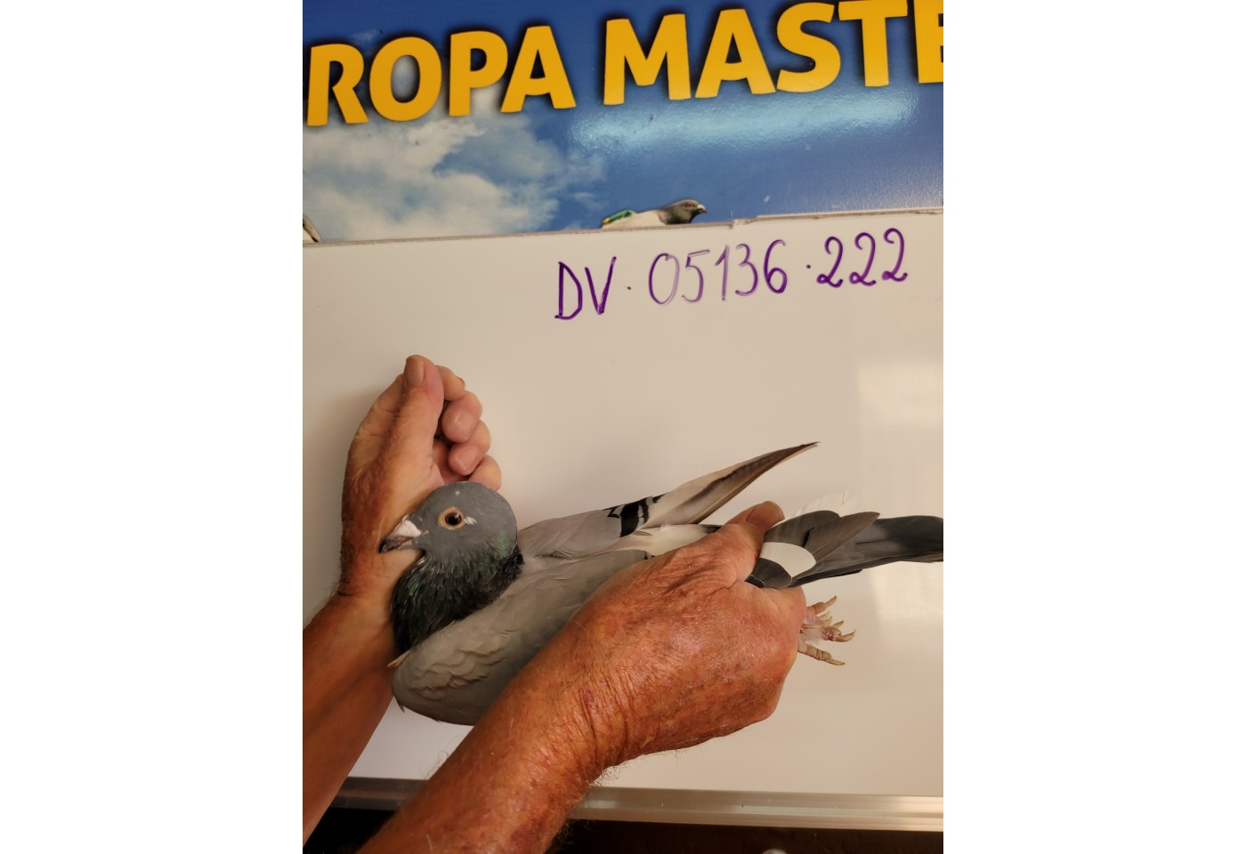(♀️) 78th place - DV-05136-21-222 - Goetz Guenter