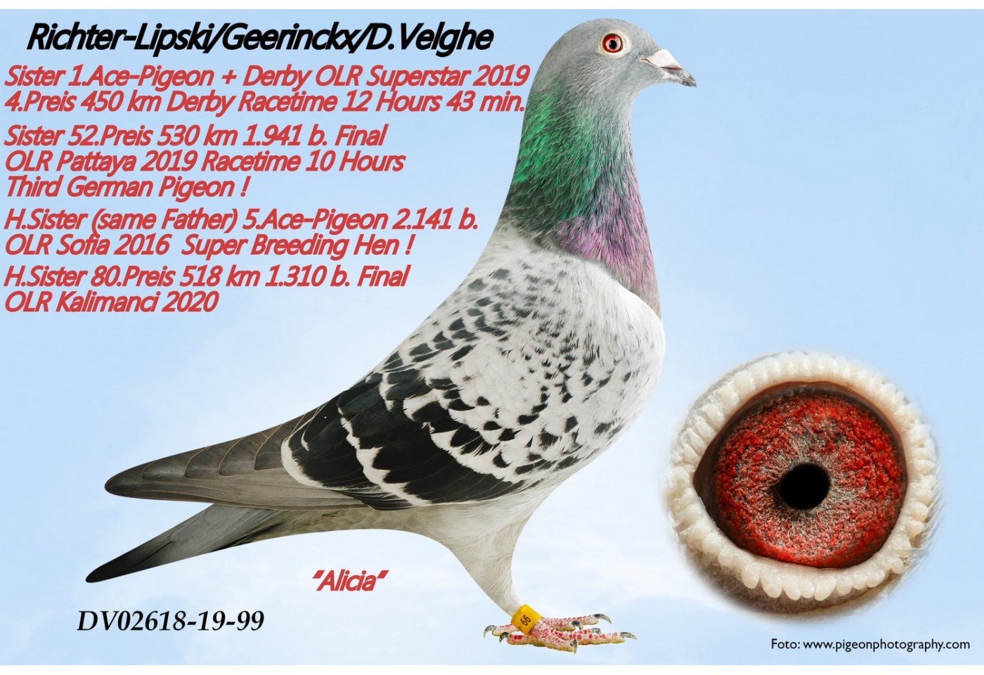 441th place - DV-02618-21-1967 - 	Karl-Heinz Wichert