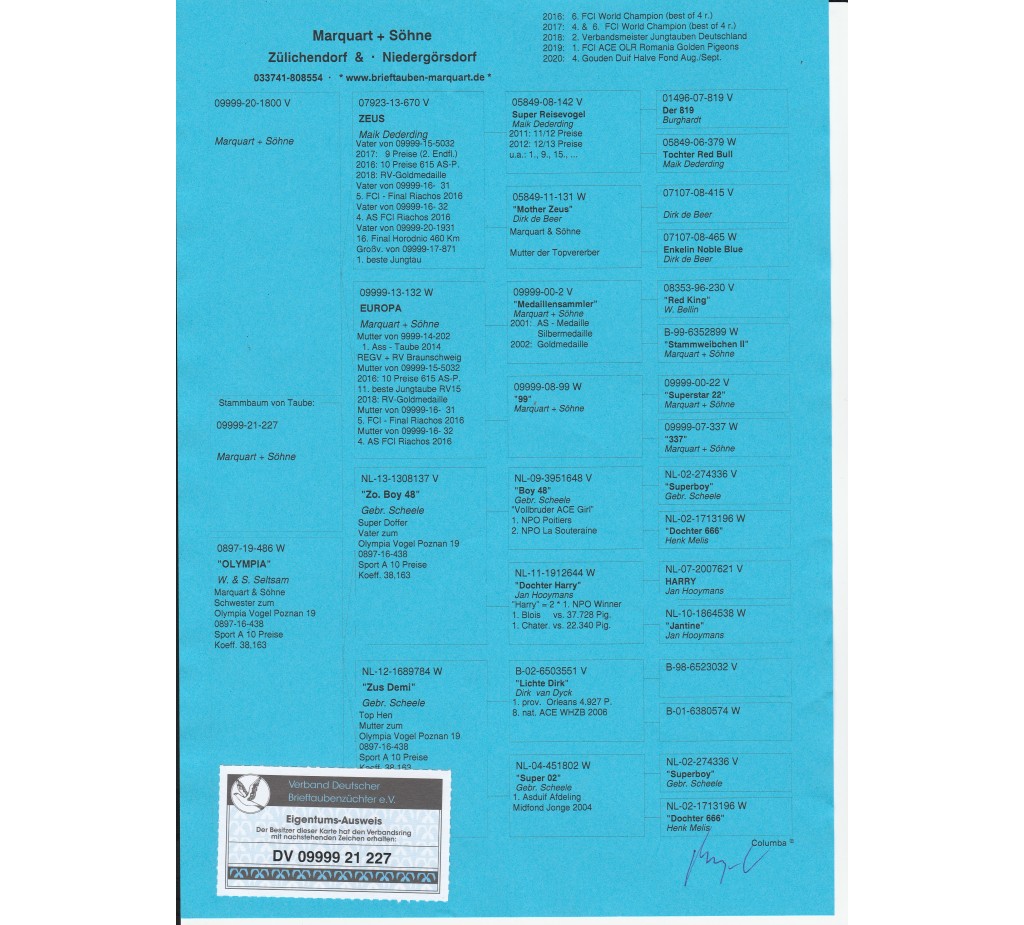 95th place - DV-09999-21-227 - Marquart, H+F