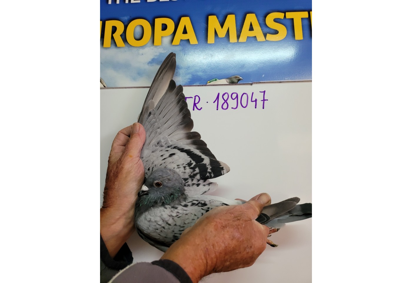 207th place - 189047-TR-21 - Emir Fazioglu