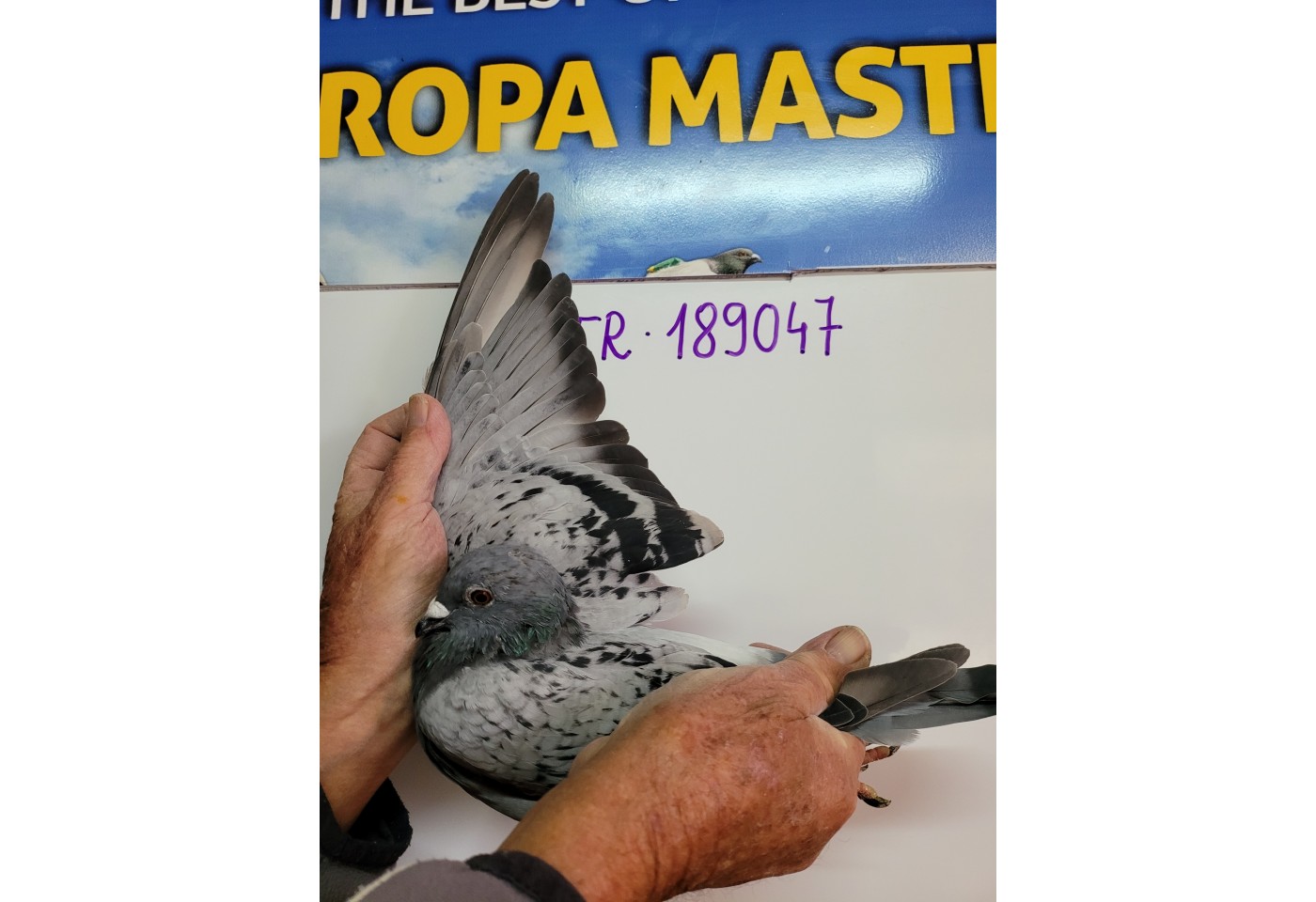 207th place - 189047-TR-21 - Emir Fazioglu