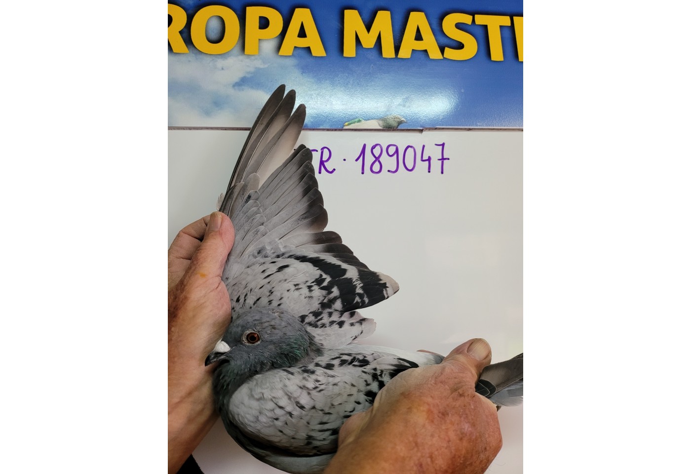 207th place - 189047-TR-21 - Emir Fazioglu
