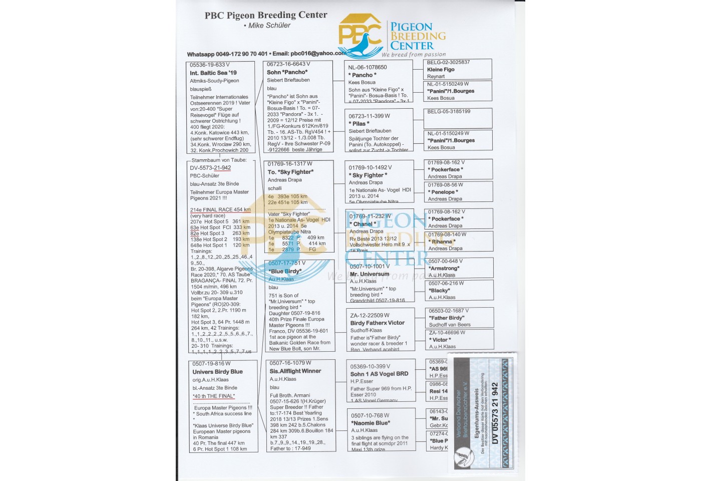 214th place - DV-05573-21-942 - PBC Pigeons