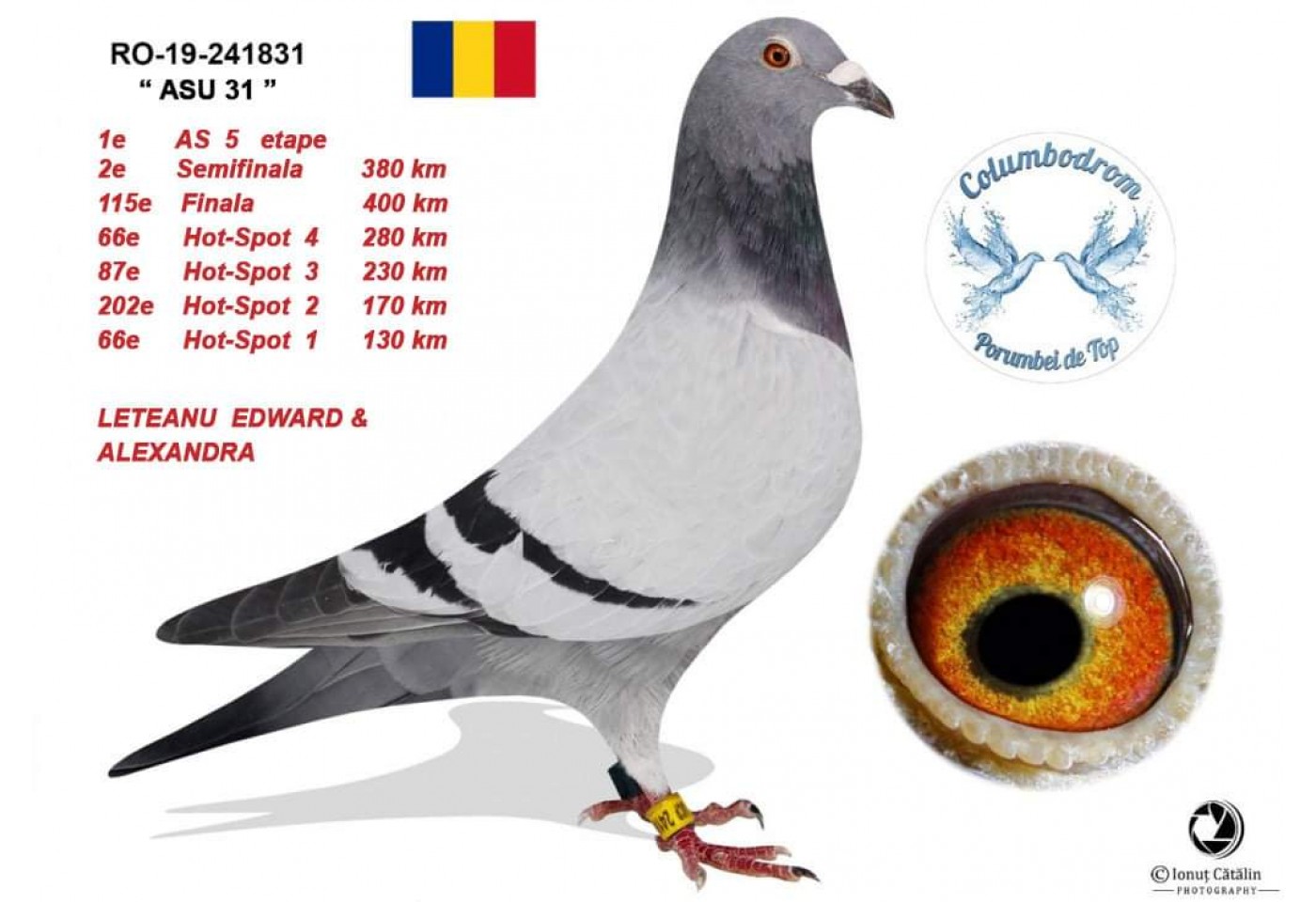 237th place - 1252550-RO-21 - Eduard