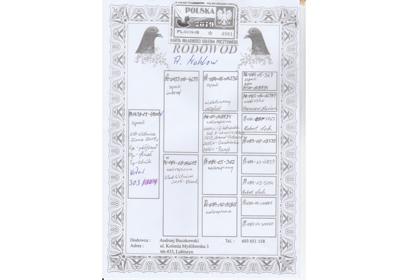 458th place - DV-09639-21-304 - Mahlow Andreas