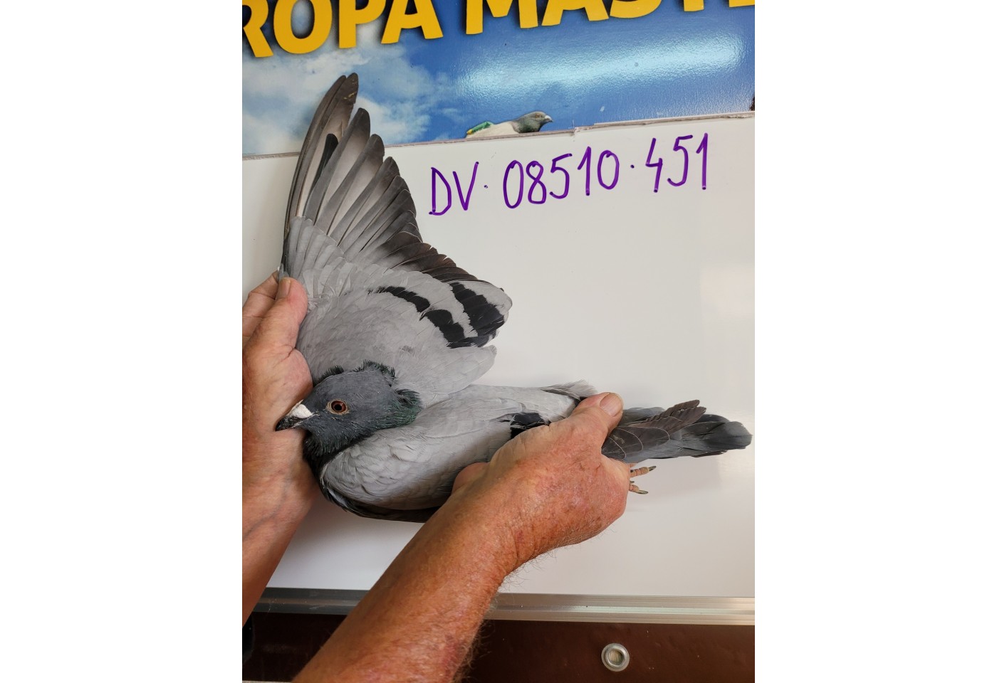 130th place - DV-08510-21-451 - Team Dobermann / Grone