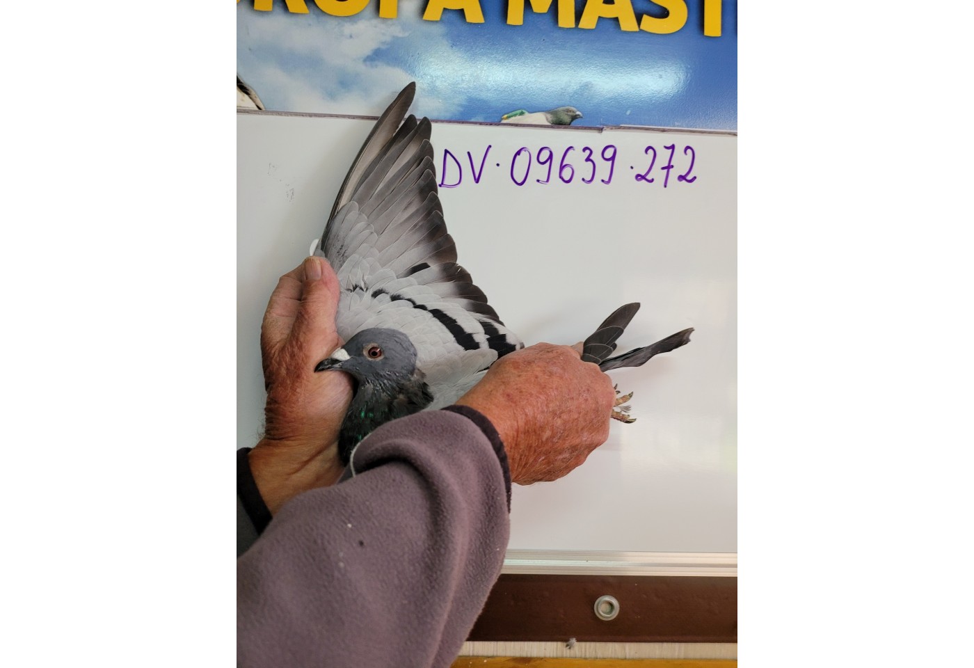 281th place - DV-09639-21-272 - Eckhard Ullrich