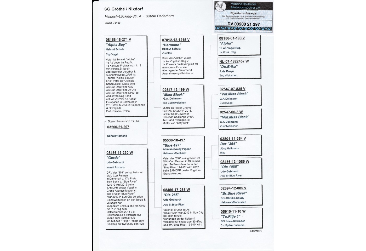 213th place - DV-03200-21-297 - SG Grothe/Nixdorf