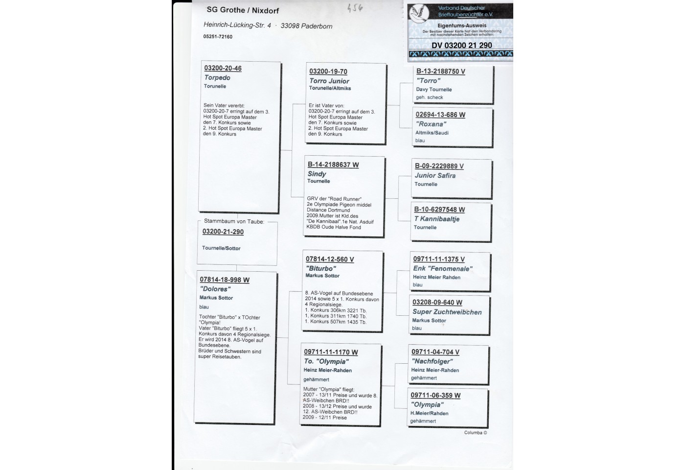456th place - DV-03200-21-290 - SG Grothe/Nixdorf