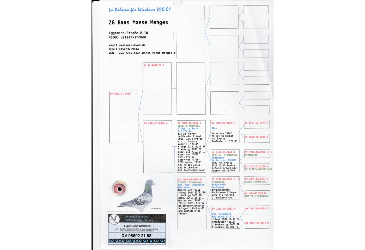 457th place - DV-06892-21-88 - Haas-Moese-Menges