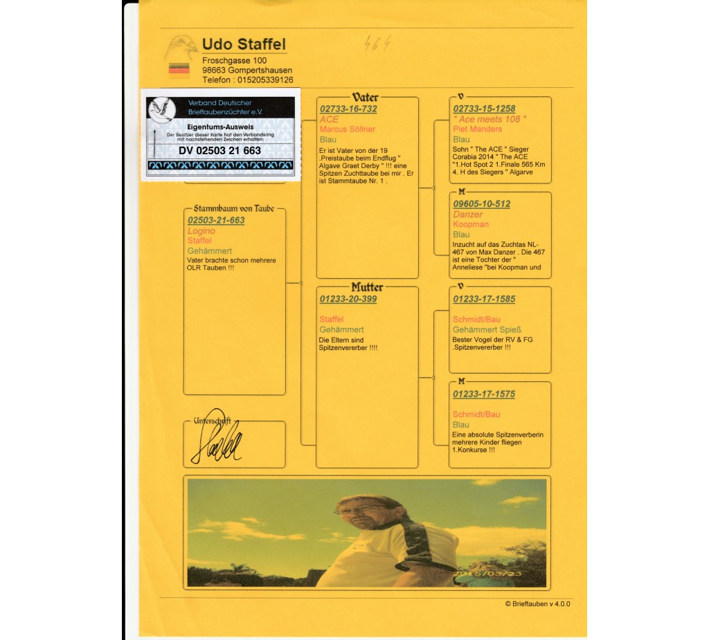 464th place - DV-02503-21-663 - Team Staffel/Wesch