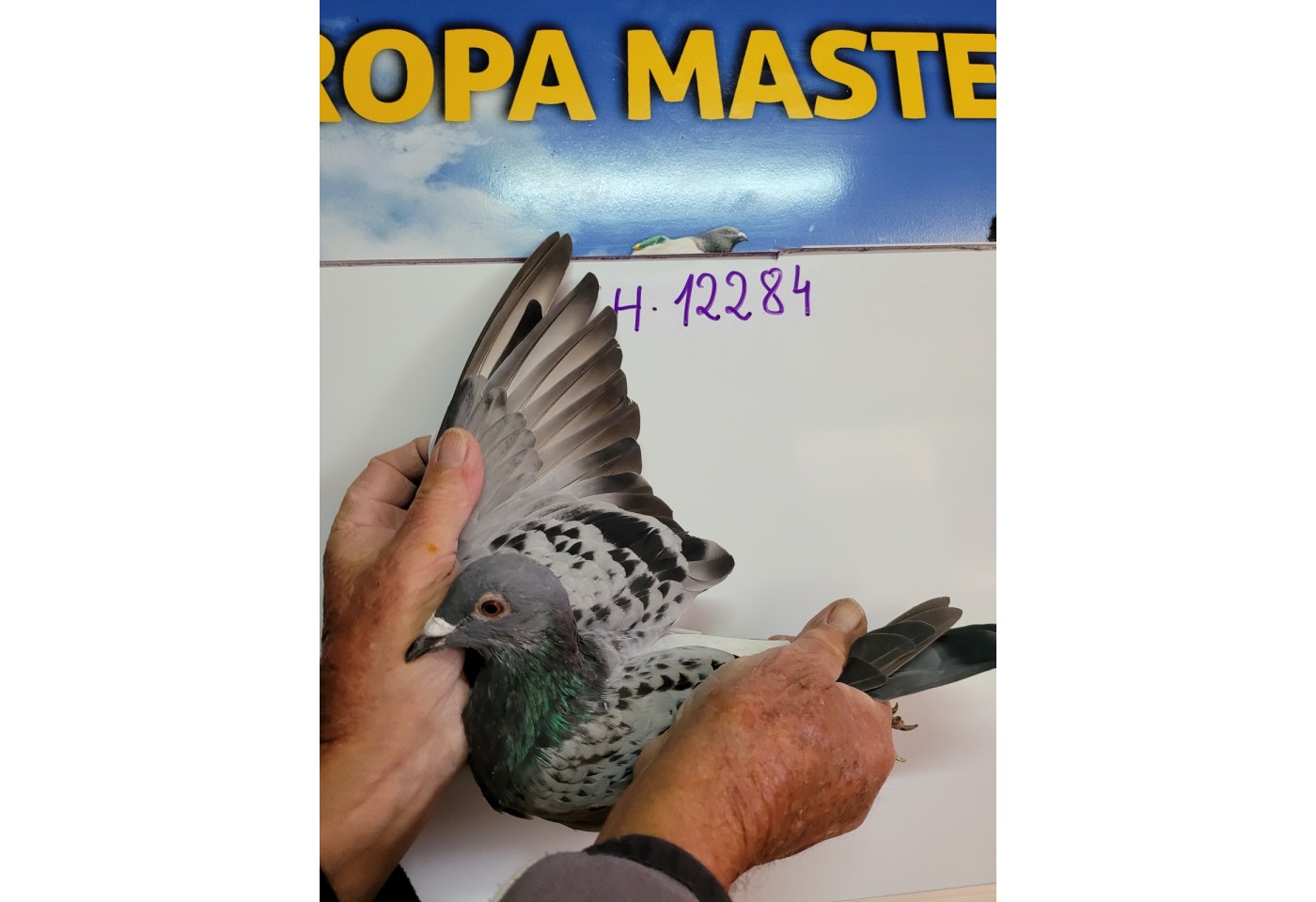 115th place - 12284-CH-21 - 12284-CH-21