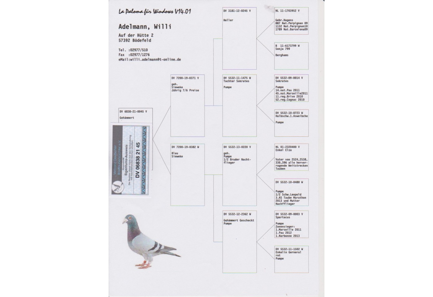 118th place - DV-06838-21-45 -  Hotel Adelmann