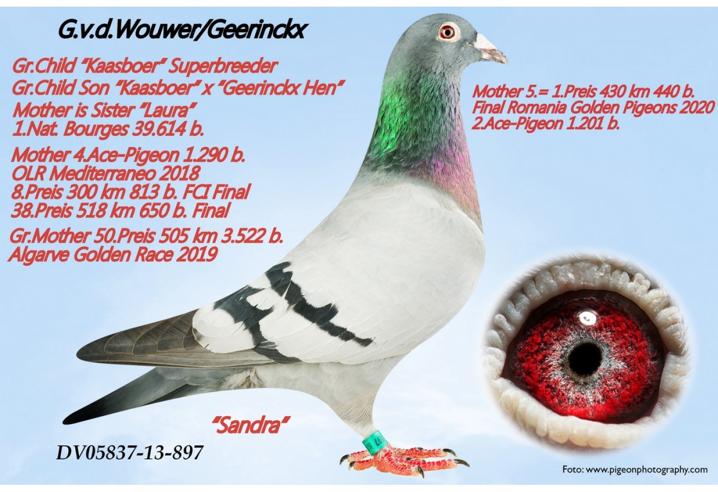 174th place - DV-02618-21-2213 -  Karl-Heinz Wichert