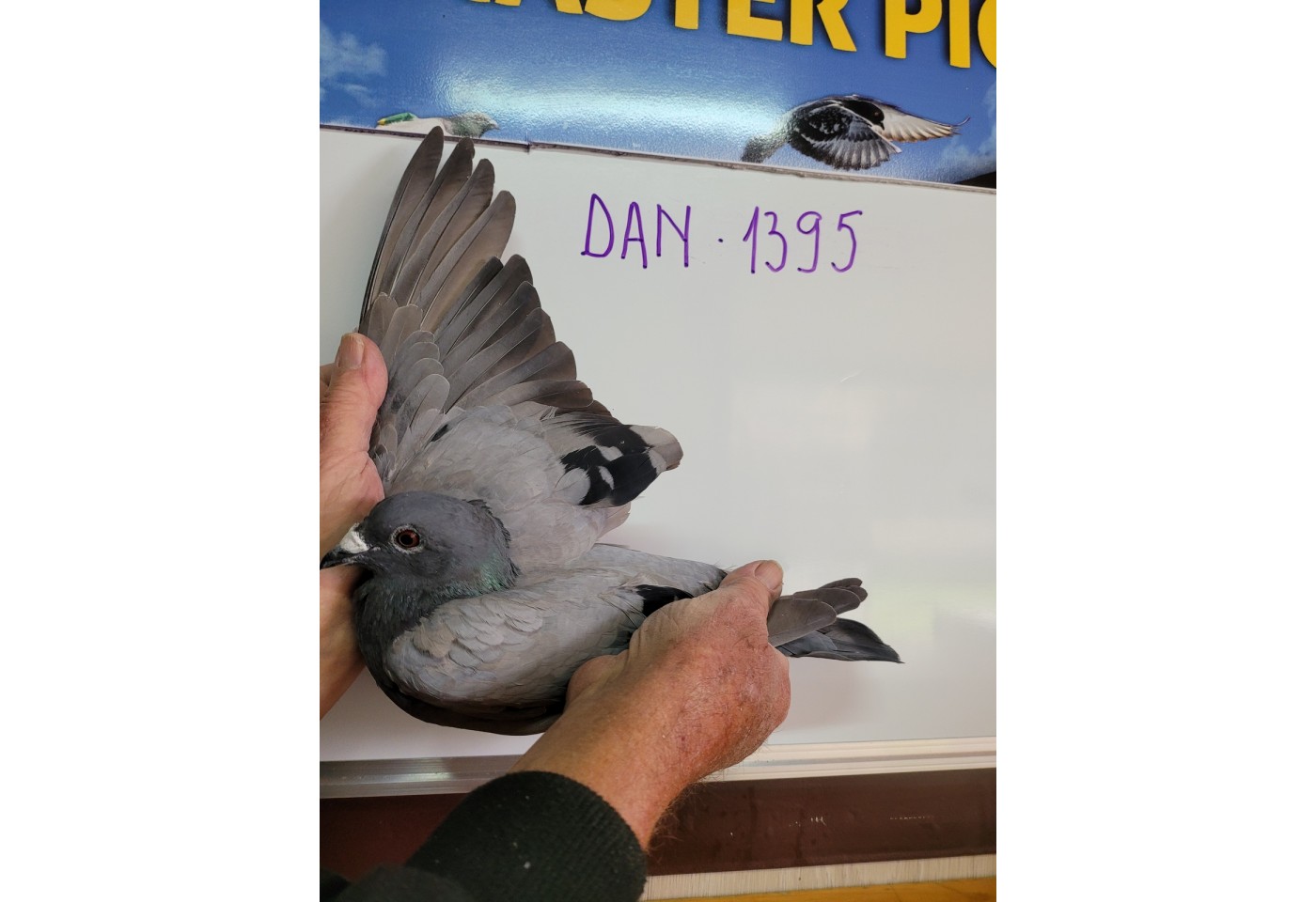 192th place - DAN-076-21-1395 -  Helle & Jens Pedersen