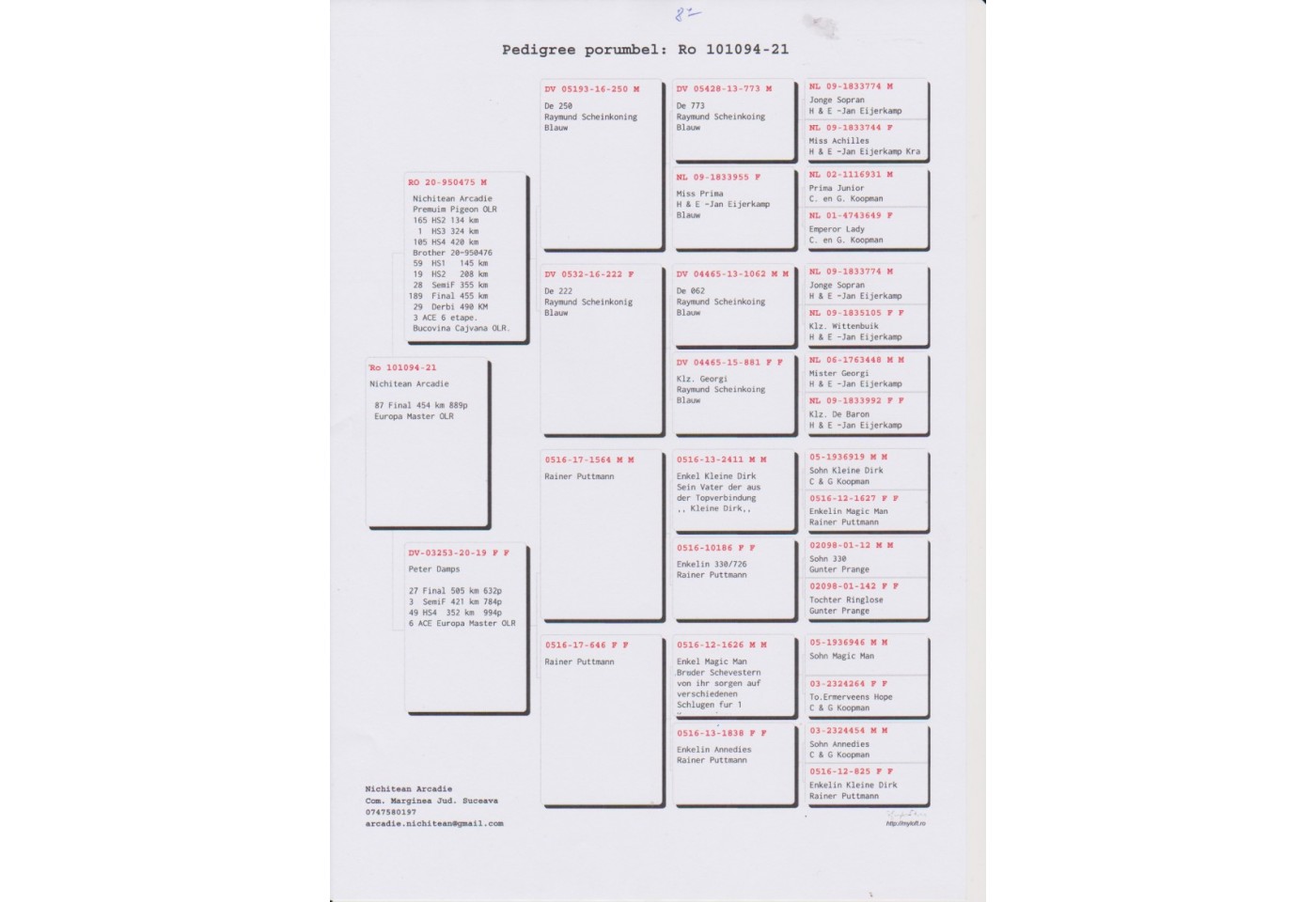 87th place - 101094-RO-21 - Nichitean + Blasciuc