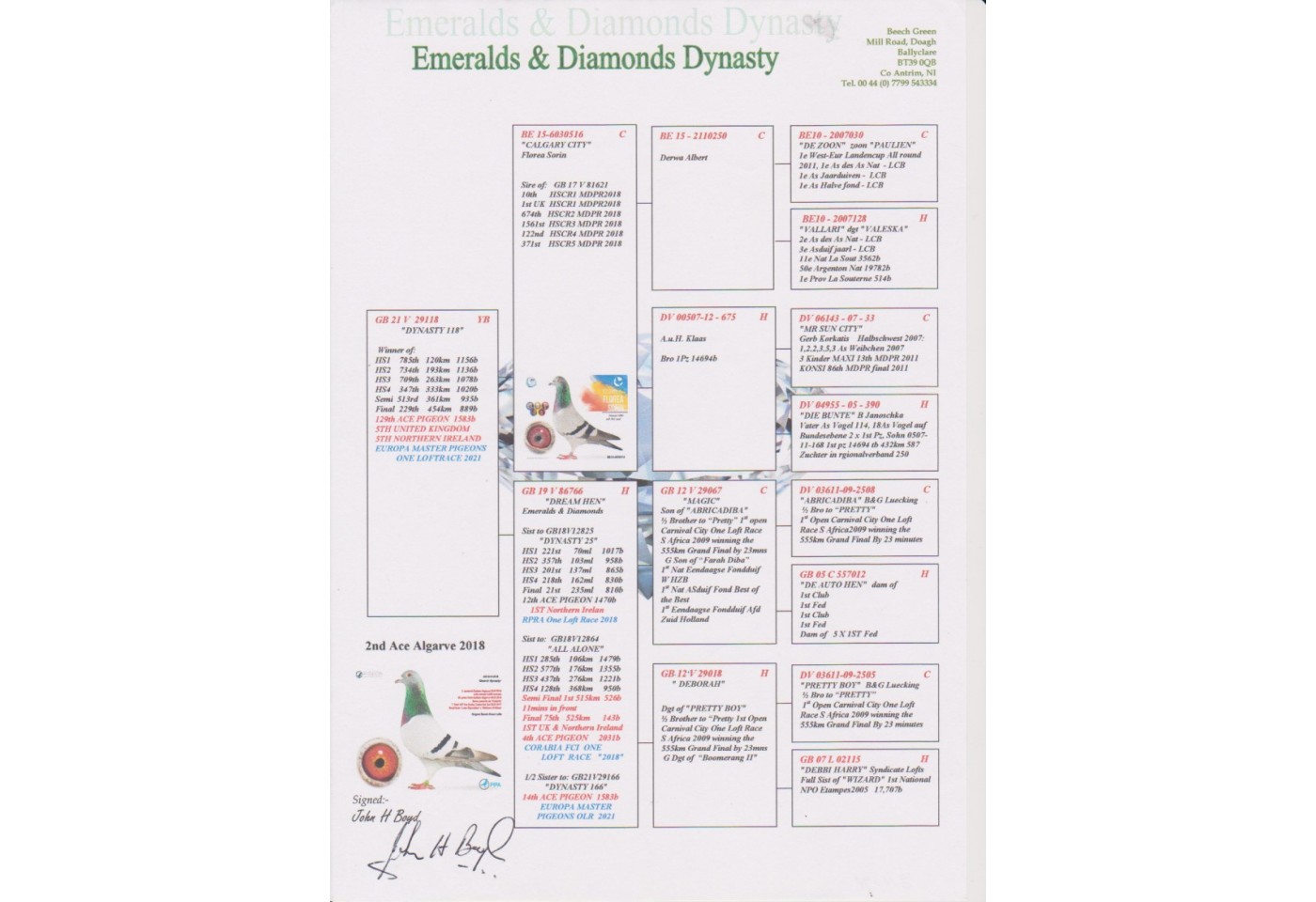 229th place - GB-21-V-29118 - Emeralds & Diamonds Dynasty Team C