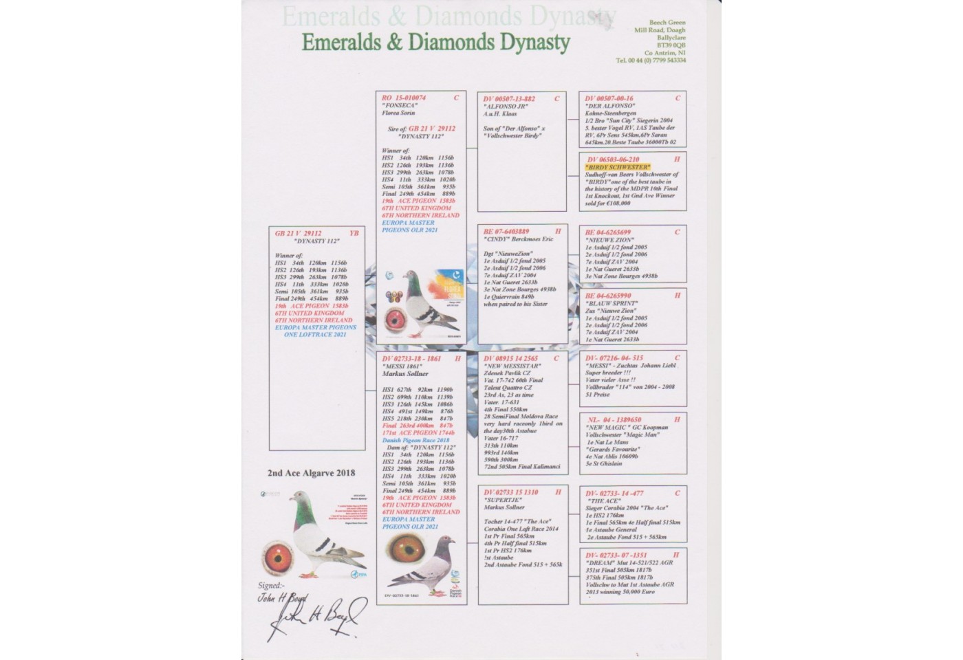 249th place - GB-21-V-29112 - Emeralds & Diamonds Dynasty Team A